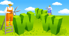 当前WiFi行业最需要什么员工?